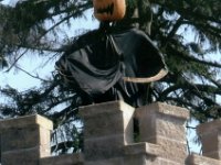 photos 2000-200901534